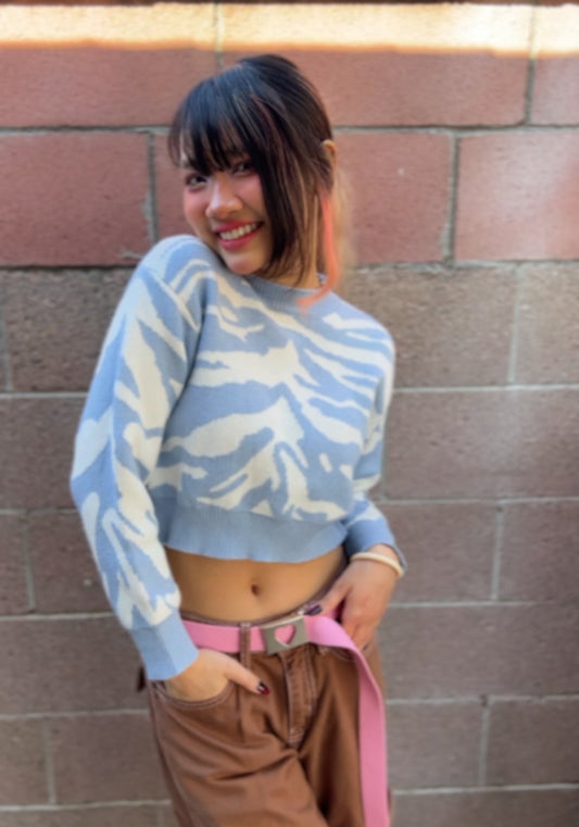 Woman in Light Blue Zebra Print Crop Sweater  facing forward up close